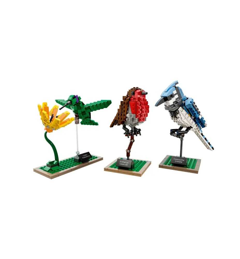 LEGO Ideas 21301 Birds
